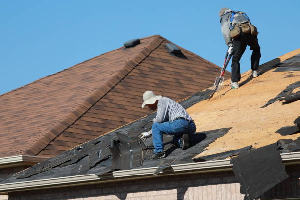 Best Roof Moss and Algae Removal  in Shelbyville, TN